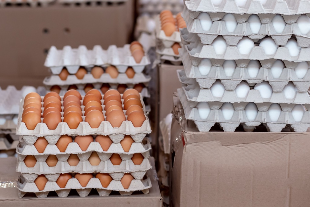 Росстат: запасы яиц у сельхозорганизаций РФ в конце мая были ниже прошлогодних