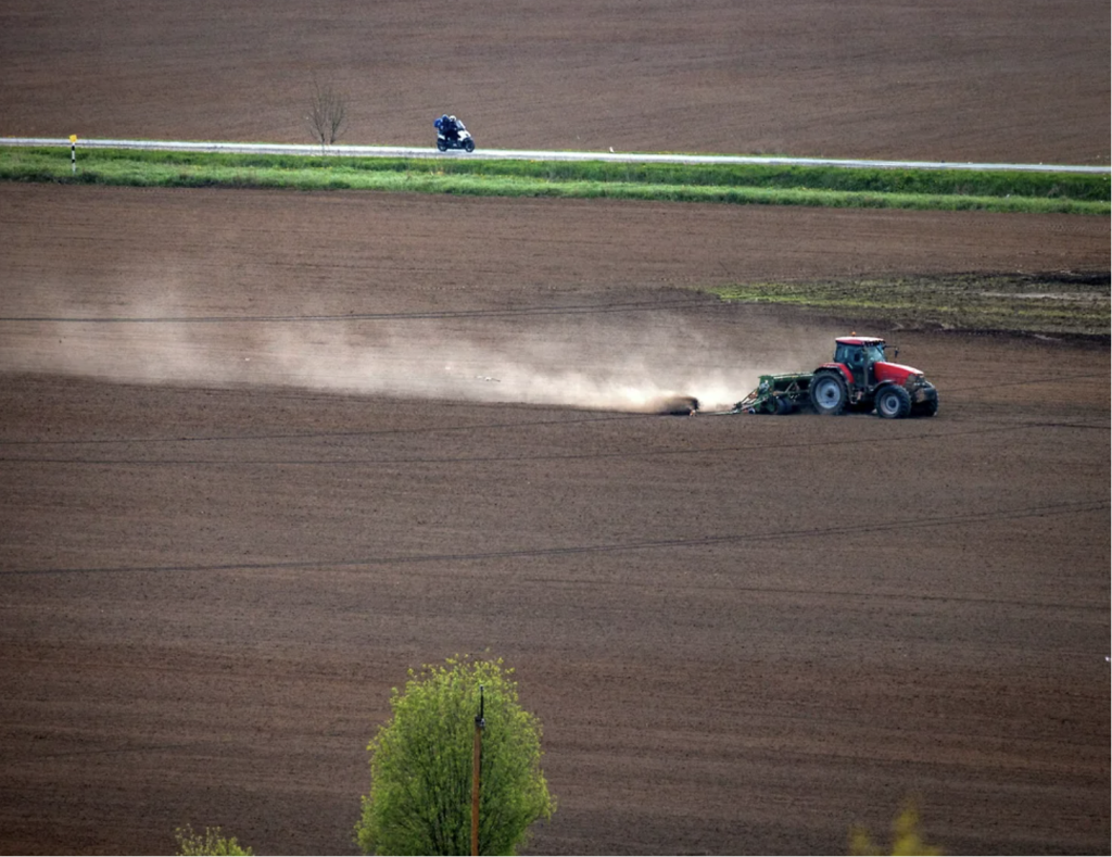 Институт ВЭБ прогнозирует снижение производства сельхозпродукции в РФ в 2023-м