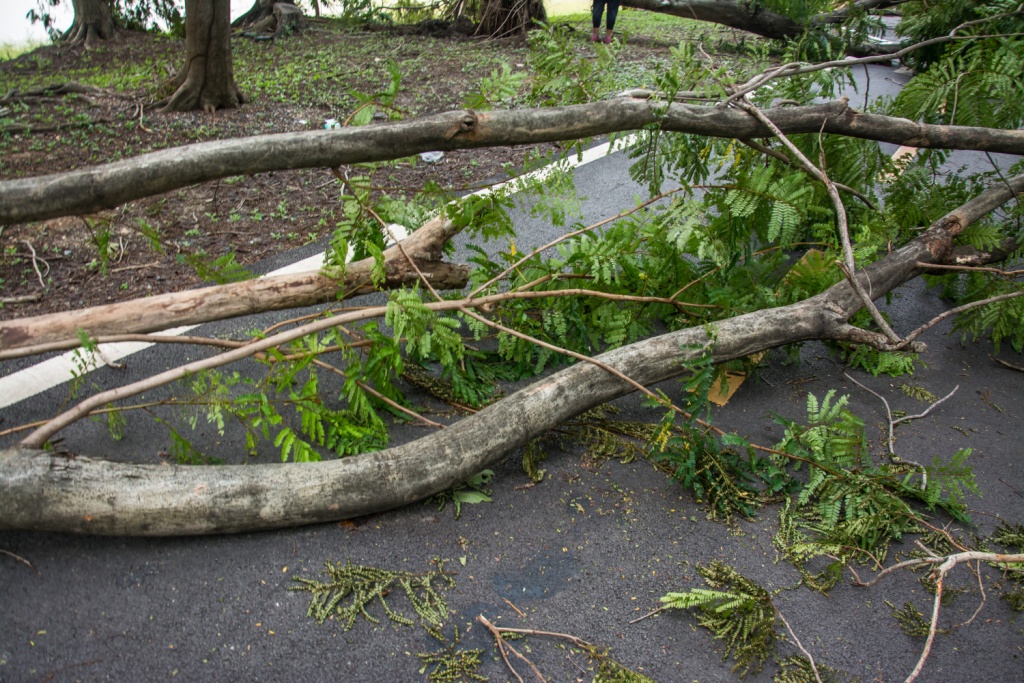В Псковской области ураган нанёс ущерб сельскохозяйственному предприятию