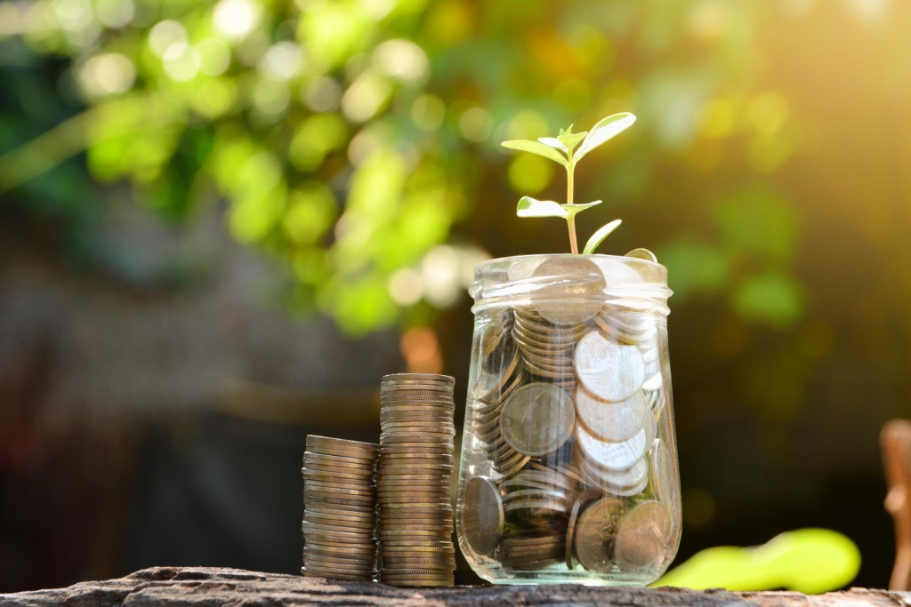 Минприроды готовит масштабное повышение экологического сбора