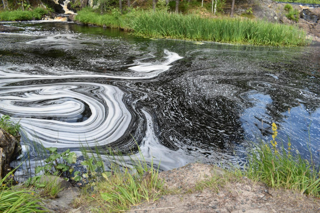 В Ульяновске расчистят реку Сельдь от древесных завалов перед паводками