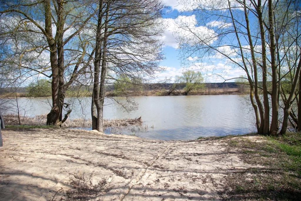 В городском округе Коломна очистят озеро Рама