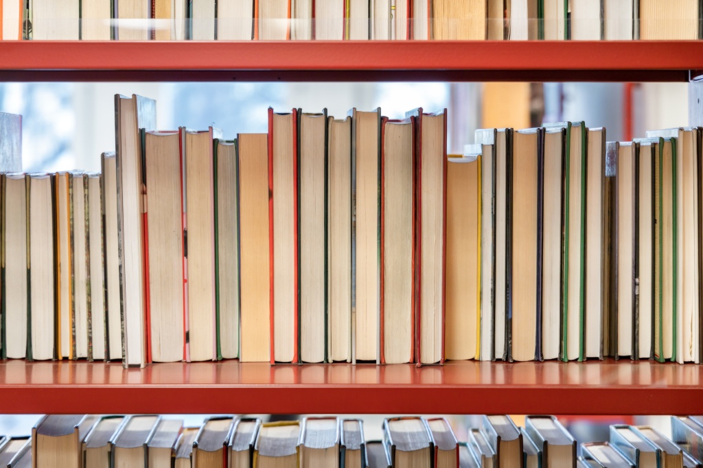 В Самарской области планируют открыть 5 новых модельных библиотек в рамках нацпроекта "Семья"