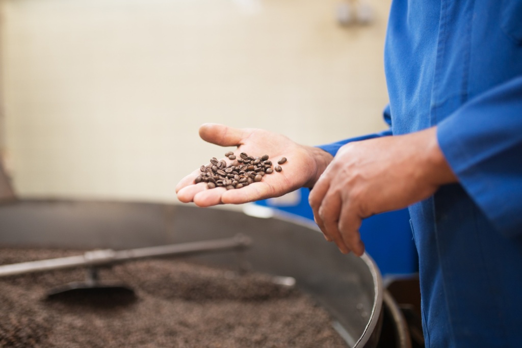 Bloomberg: мировые поставки кофе сорта робуста к сентябрю упадут на 20%