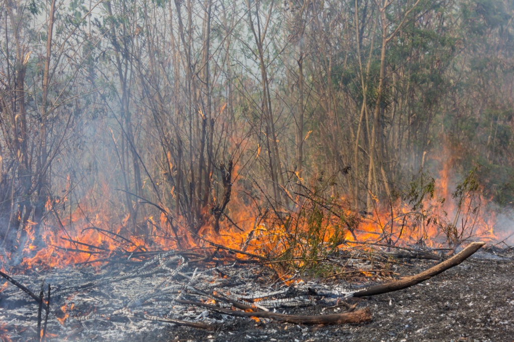 С 5-го апреля в Челябинской области начинается пожароопасный сезон