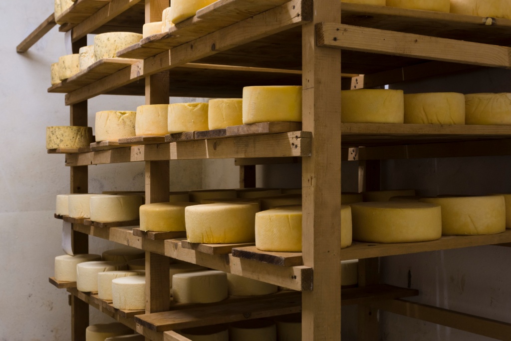 Россельхознадзор обнаружил у брянского производителя сыра признаки фальсификации