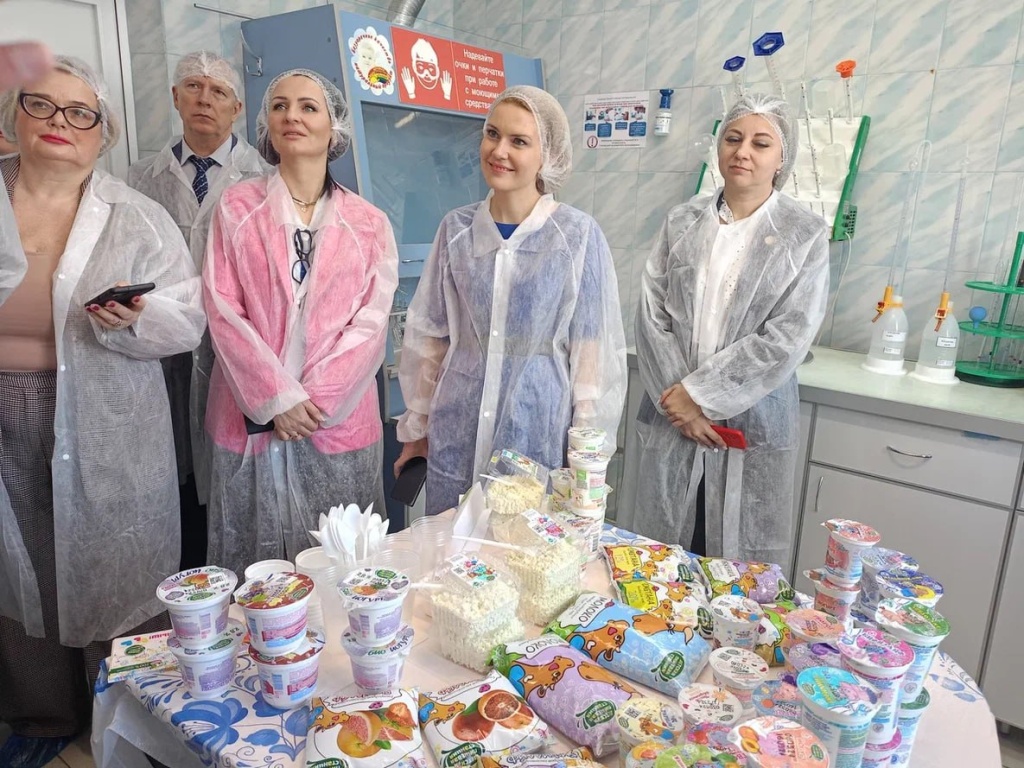 В рамках программы «Крепкая семья» Мордовию с рабочим визитом посетили представители партии «Единая Россия»