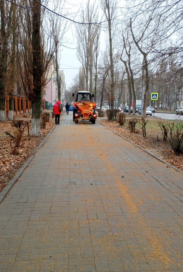 В Воронеже улицы и тротуары обрабатывают противогололёдными материалами