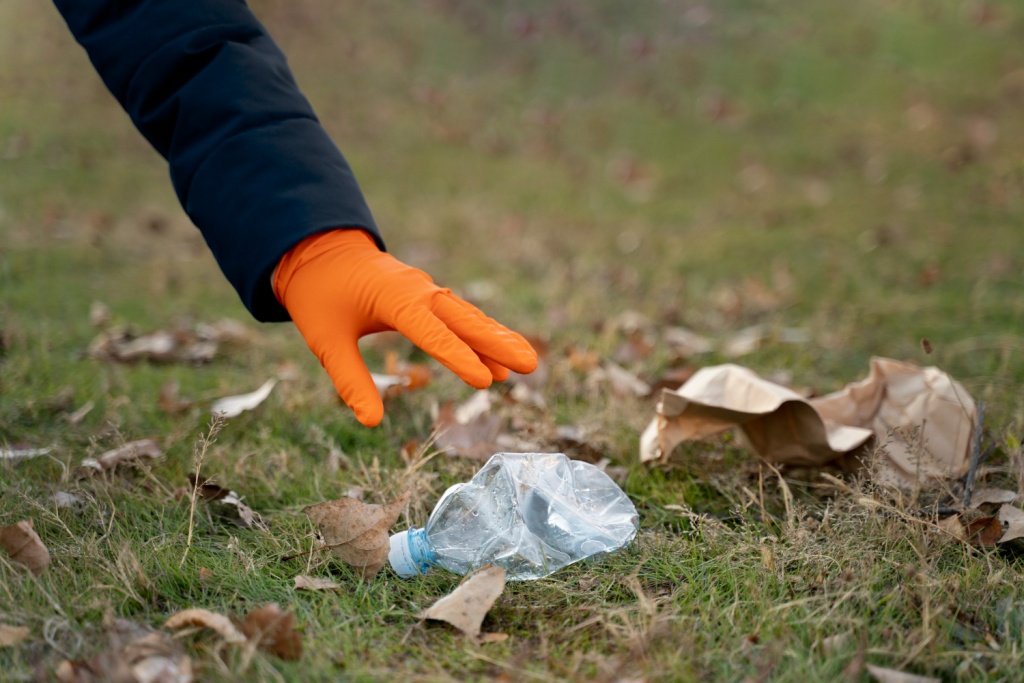 Из лесов Самарской области в этом году вывезли свыше 340 тонн мусора