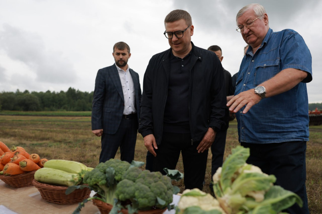 Челябинская область плотно займется овощеводством