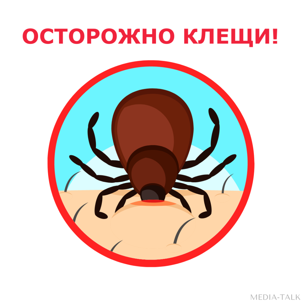 В Псковской области появились первые заразившиеся энцефалитом В Псковской области появились первые заразившиеся энцефалитом