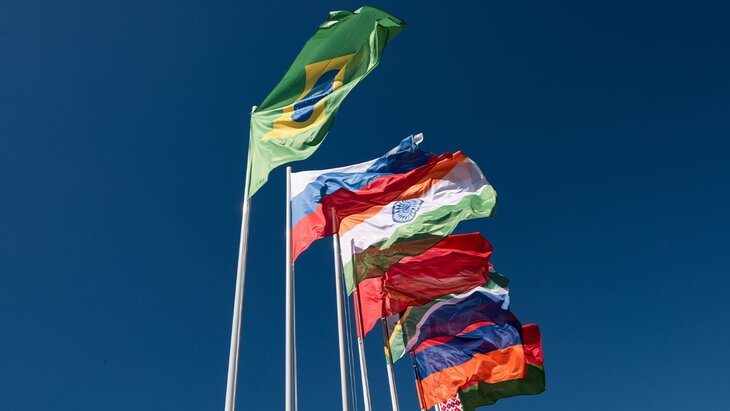Представители стран БРИКС выступили за использование национальных валют в торговле
