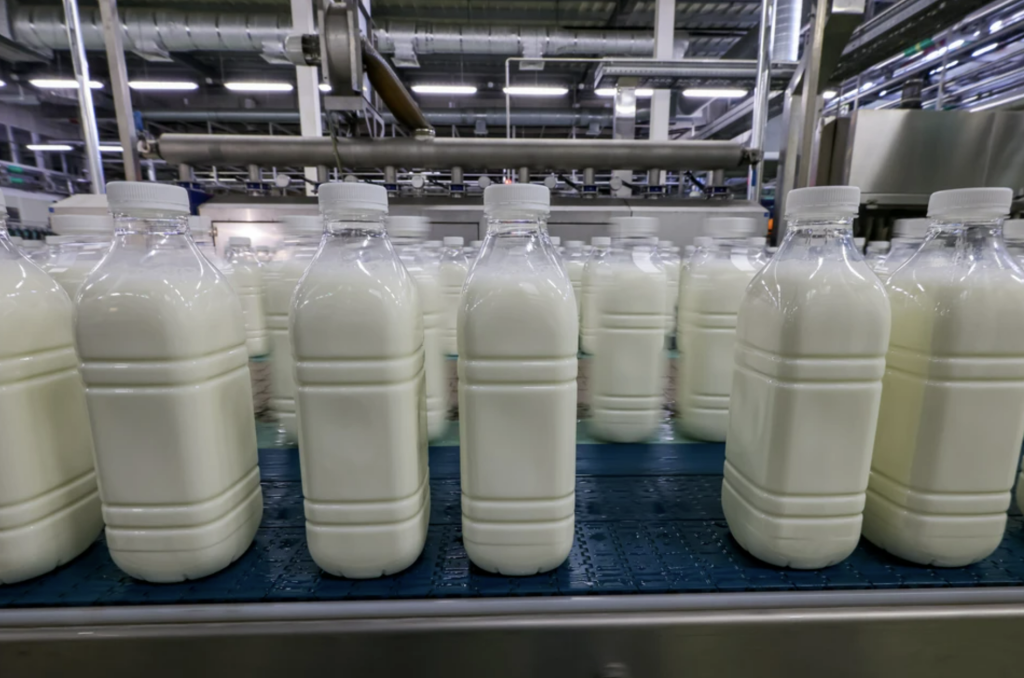 На просроченном молоке можно. Молочная продукция. Молоко производство. Крупное молоко. Просроченное молоко.