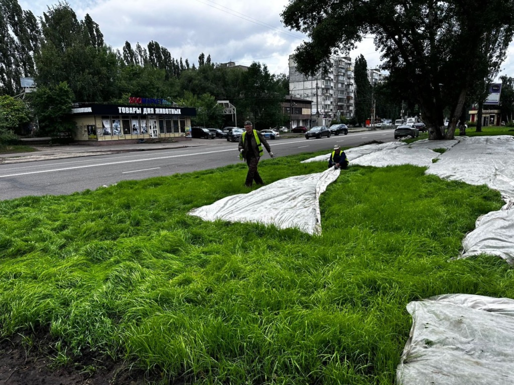 В Воронеже продолжается работа по восстановлению и обустройству газонов В Воронеже продолжается работа по восстановлению и обустройству газонов