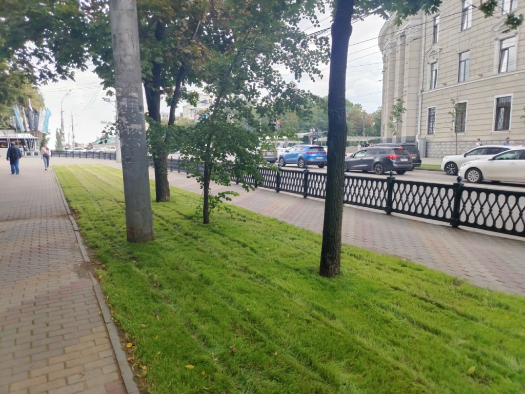 В Воронеже продолжается работа по восстановлению и обустройству газонов В Воронеже продолжается работа по восстановлению и обустройству газонов