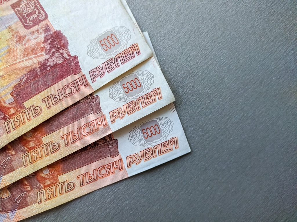 В Новосибирской области директор организации похитил почти миллион рублей, выписывая себе премии