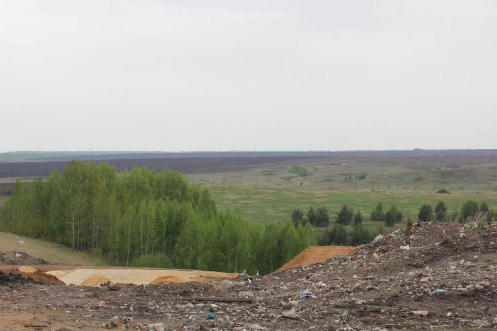 Несанкционированную свалку в Мордовии устранят до конца года