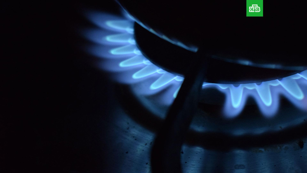 За ноябрь спрос на газ в ЕС упал на 24%