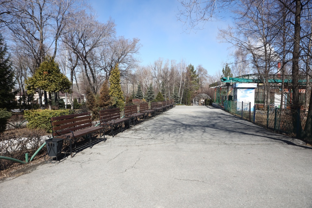 Новосибирцы голосуют за благоустройство парка имени Кирова