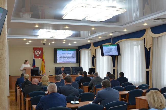 Депутаты Воронежской гордумы отправили на доработку программу «Развитие образования»: требуется учесть строительство школ и детсадов без переносов сроков