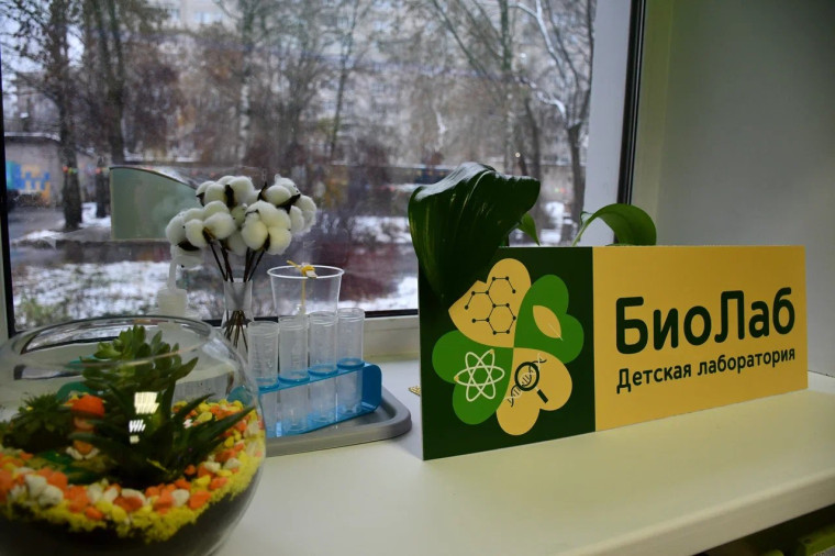 В Иванове в детском саду №15 открылась инновационная лаборатория «БиоЛаб.Дети» для юных исследователей