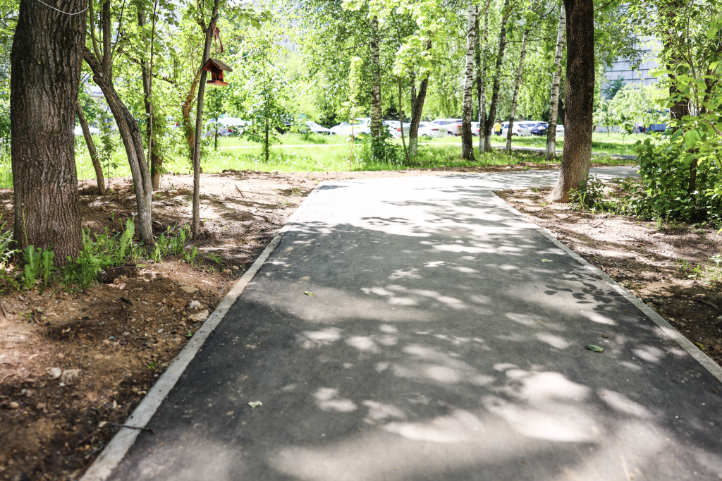 В городском округе Красногорск продолжают обустраивать «Народные тропы» В городском округе Красногорск продолжают обустраивать «Народные тропы»