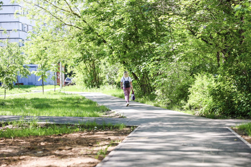 В городском округе Красногорск продолжают обустраивать «Народные тропы» В городском округе Красногорск продолжают обустраивать «Народные тропы»
