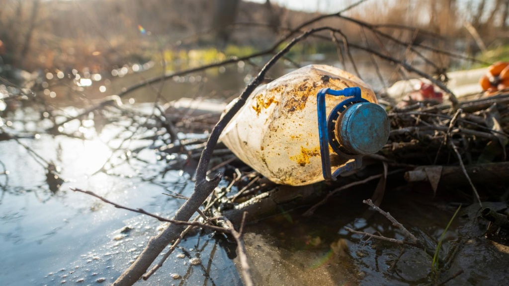 Росприроднадзор нашел рядом с Липецком новые загрязнения реки Дон водоканалом