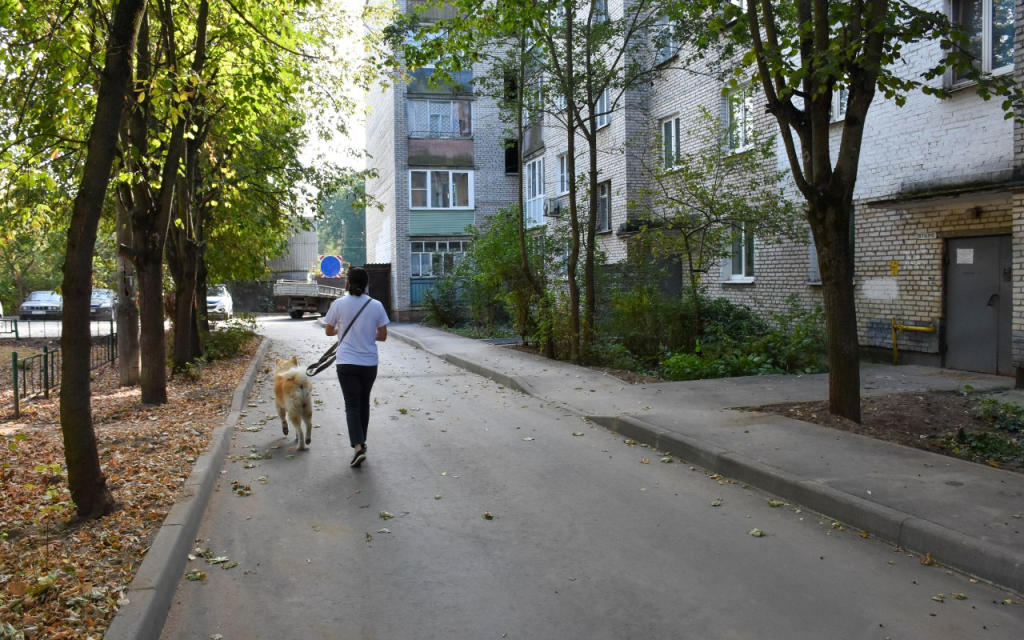 Глава Пушкинского Максим Красноцветов вновь проверил ход работ по благоустройству лесопарка «Северный»