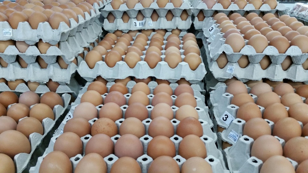 СМИ: производители яиц в РФ получили рекордную прибыль в 2023 году СМИ: производители яиц в РФ получили рекордную прибыль в 2023 году