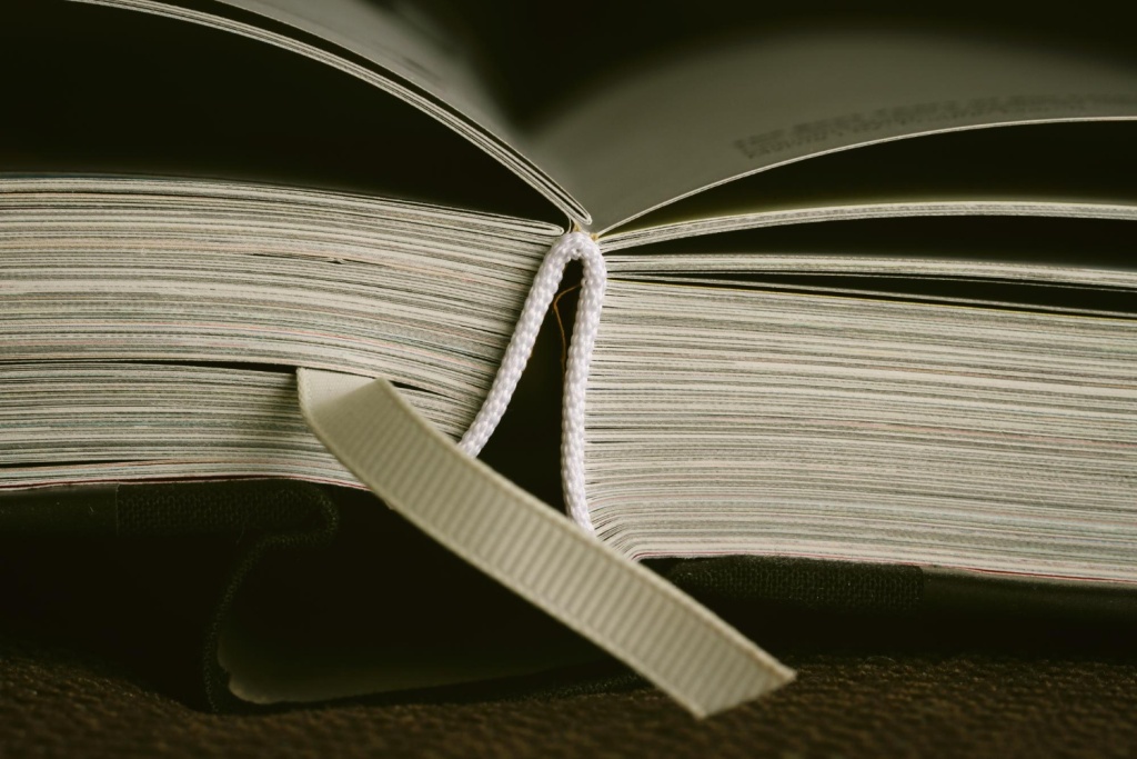 Илон Маск готовит замену «Википедии» Илон Маск готовит замену «Википедии»