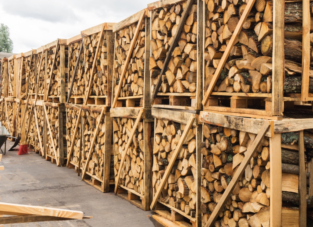 ЕС нарастил импорт древесины из США и Турции после ввода санкций против РФ 