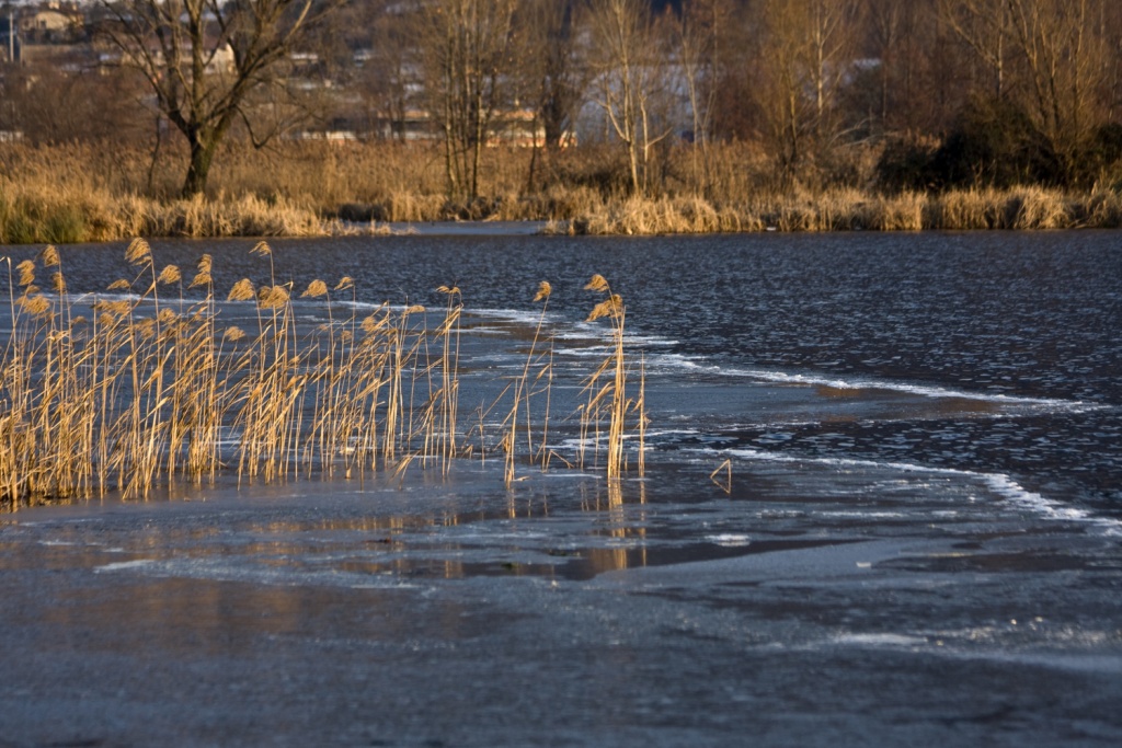 В Московской области объявлен оранжевый уровень опасности из-за паводков