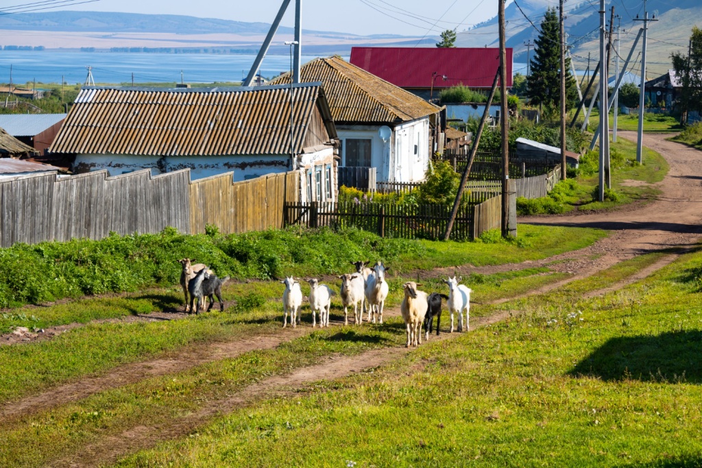 70 удалённых сёл и посёлков подключат к интернету за счёт операторов