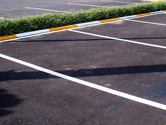 В Санкт-Петербурге начинается весенняя просушка парков и садов