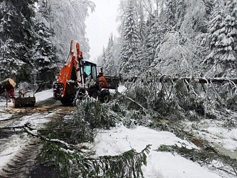 В подмосковном Пушкинском 20 бригад ликвидируют последствия непогоды — электроснабжение восстанавливают по 70 заявкам