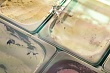 Специалисты Россельхознадзора проконтролировали экспорт свыше 500 тонн краснодарского мороженого