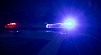 Ульяновская полиция выявила факты подделки документов