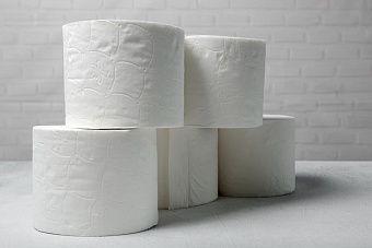 Бренд Zewa трансформируется в Zemma: компания завершила ребрендинг