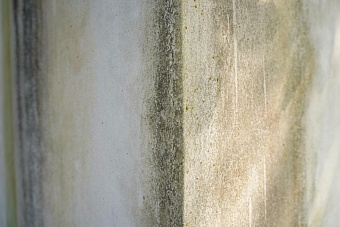 В Воронеже по факту проживания людей в доме с протекающей крышей и плесенью возбуждено уголовное дело