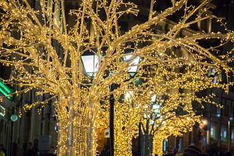 Костромская область зажигает огни: 150 компаний создают новогоднюю сказку