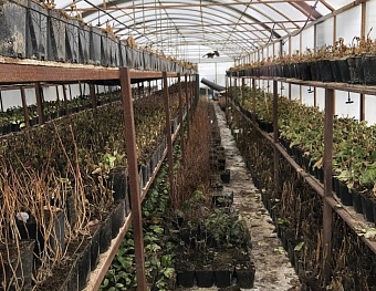 В Краснодарском крае малый и средний бизнес формирует почти треть региональной экономики