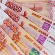 Компания "АГРОЭКО" запустит новый комбикормовый завод за 7,5 миллиарда рублей в Новохопёрском районе