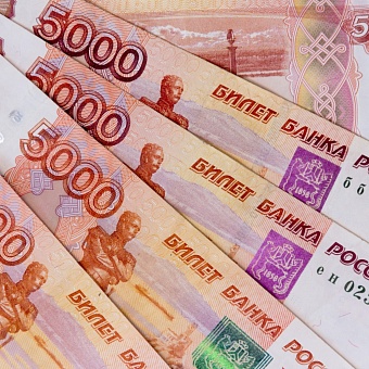 Компания "АГРОЭКО" запустит новый комбикормовый завод за 7,5 миллиарда рублей в Новохопёрском районе