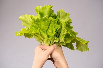 Кулинарные открытия для детей: в Казани появилась интерактивная станция профессий пищевой индустрии