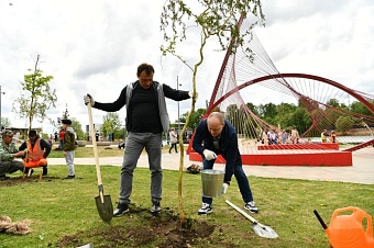 Зелёное обновление набережной Серебрянки: 95 новых деревьев украсили любимое место отдыха жителей подмосковного Пушкино